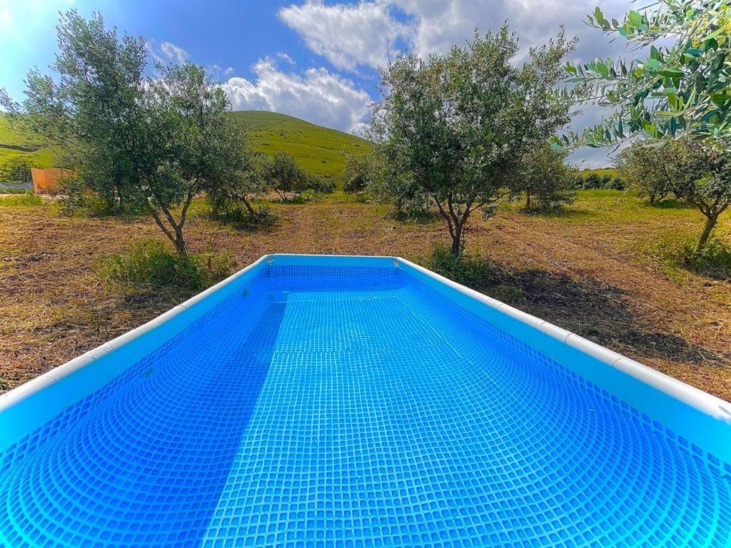 Hotel Olive Dome - כיפה גיאודזית ענקית ומודרנית בין עצי הזית Yavneʼel Exterior foto